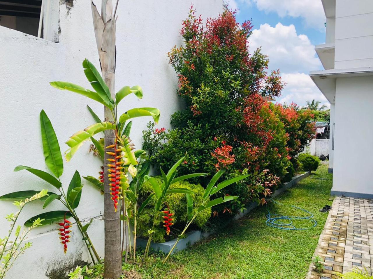 Vidushi Home Minuwangoda Exteriér fotografie