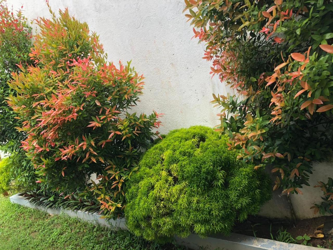 Vidushi Home Minuwangoda Exteriér fotografie