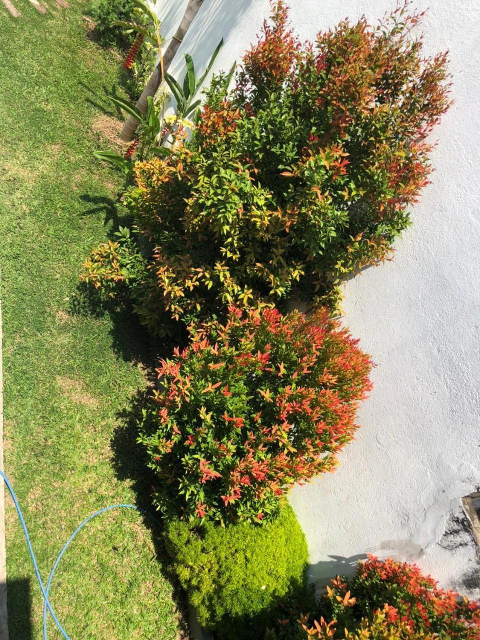 Vidushi Home Minuwangoda Exteriér fotografie