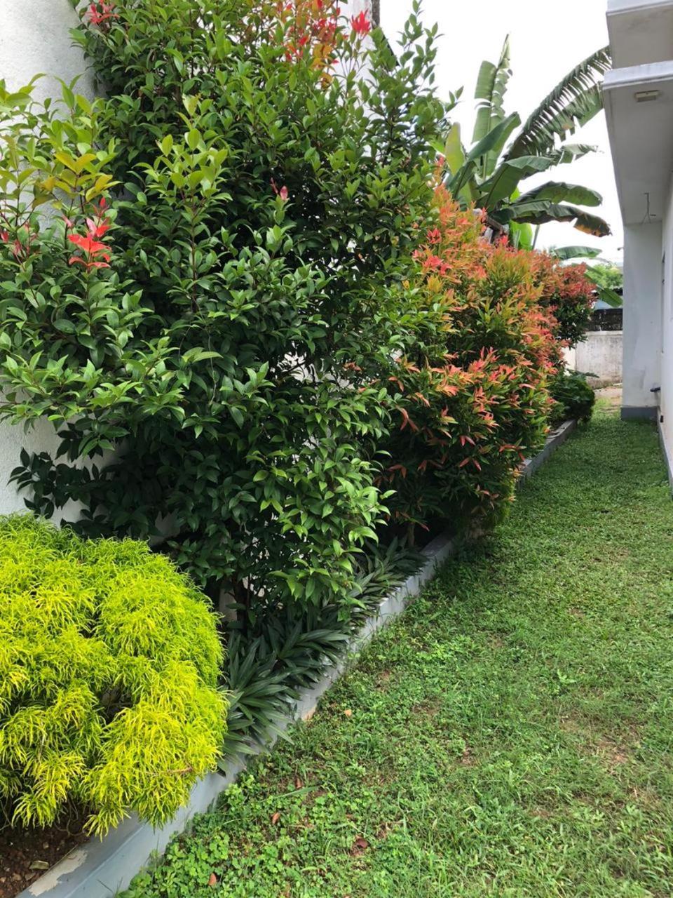 Vidushi Home Minuwangoda Exteriér fotografie